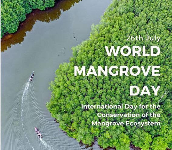 International Day for the Conservation of Mangrove Ecosystems (World Mangrove Day)