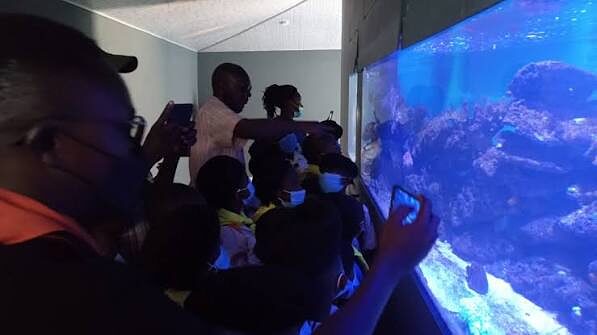 Visitors viewing the main display tank at the KMFRI Aquarium