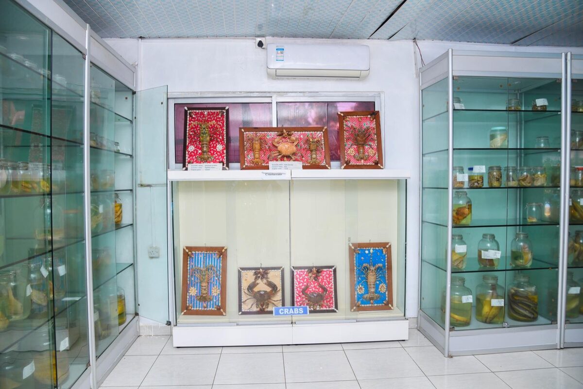 Framed marine heritage exhibits and specimen cabinets at the Marine Museum