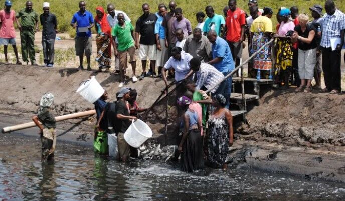 KMFRI Aquaculture Research
