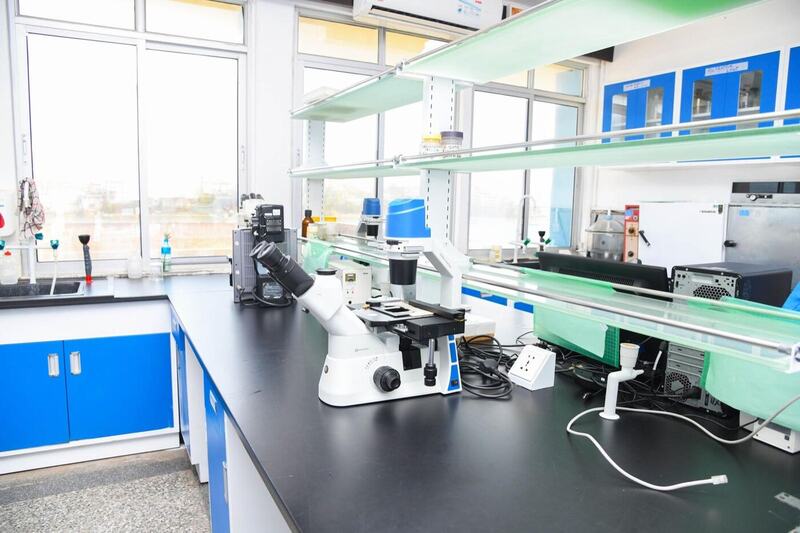 Inverted microscope station beside a window overlooking the coastline