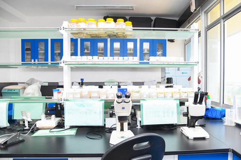 Modern laboratory bench with microscopes and analytical instruments