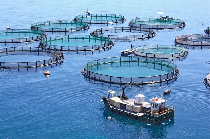 Aquaculture Research