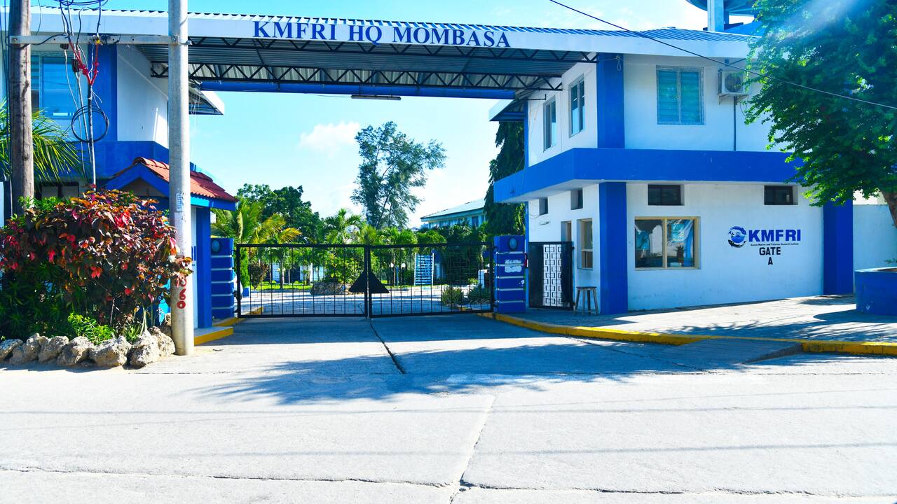 KMFRI Research at sea